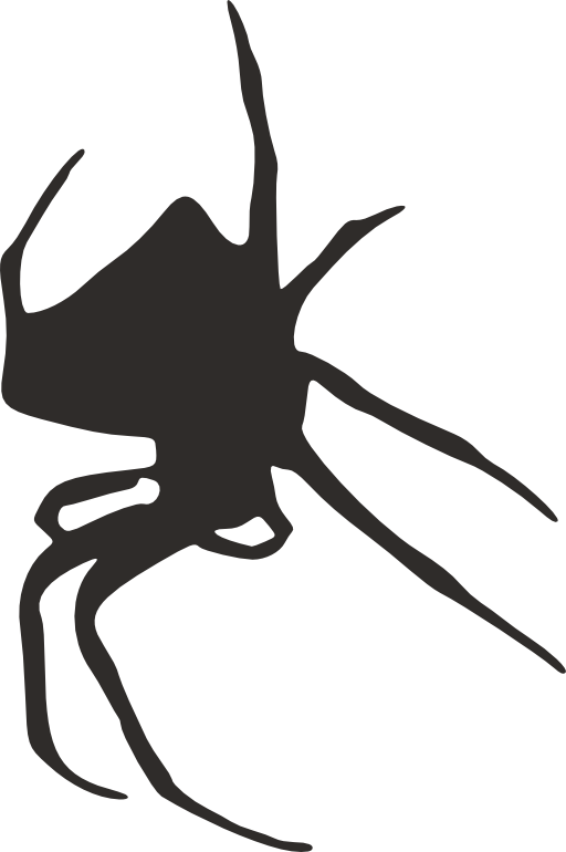 Spider Silhouette