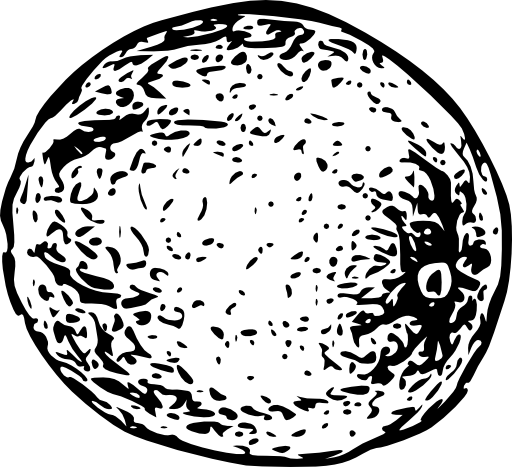 Cantaloupe