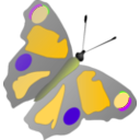 download Butterfly clipart image with 45 hue color