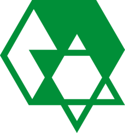 Logo Star 02