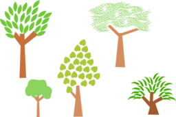 Trees