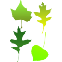 download Autumn Leaf Selection clipart image with 45 hue color