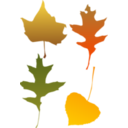 Autumn Leaf Selection