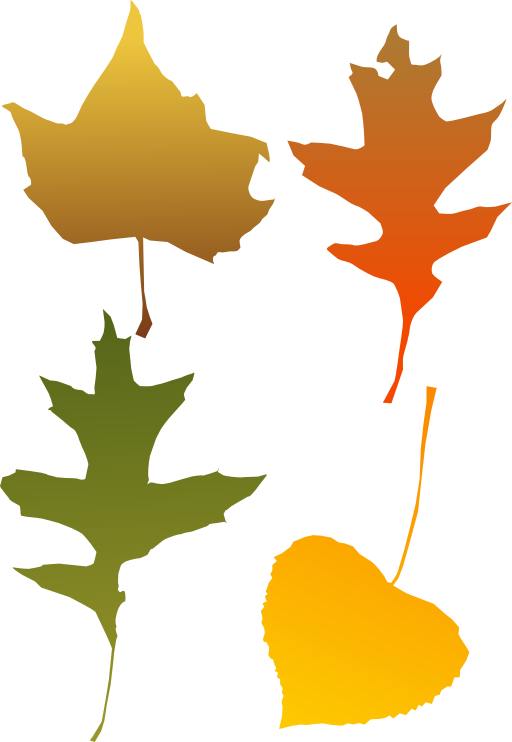 Autumn Leaf Selection