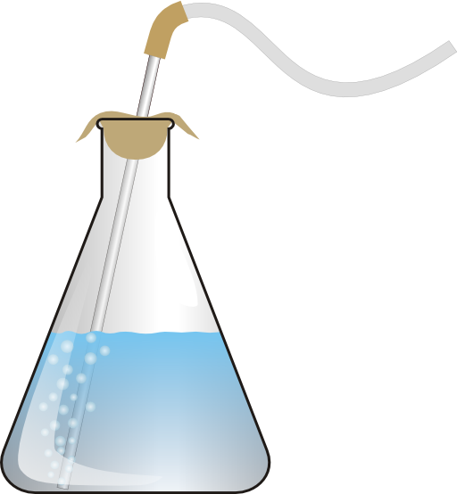 Bubbling Erlenmeyer