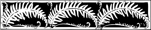 Fern Border