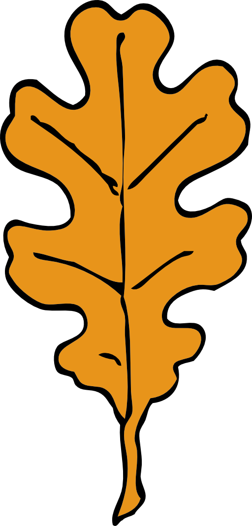 Oak Leaf