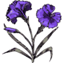 download Carnation clipart image with 270 hue color