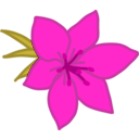 download Red Flower clipart image with 315 hue color