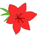 Red Flower