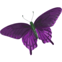 download Butterfly Papilio Philenor Top clipart image with 90 hue color