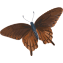 download Butterfly Papilio Philenor Top clipart image with 180 hue color