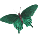 download Butterfly Papilio Philenor Top clipart image with 315 hue color
