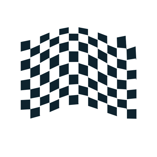 Chequered Flag Icon 2