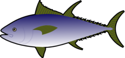 Thunfish