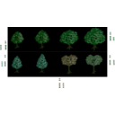 download Isometric Tree clipart image with 45 hue color
