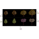 download Isometric Tree clipart image with 315 hue color