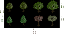 Isometric Tree