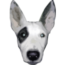 download Highres Bullterrier Head clipart image with 45 hue color