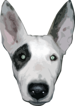 Highres Bullterrier Head