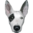 Highres Bullterrier Head