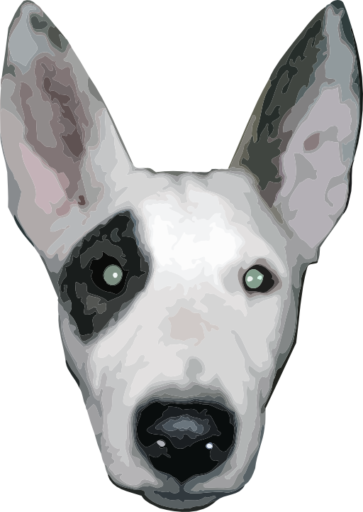 Highres Bullterrier Head