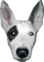 Highres Bullterrier Head