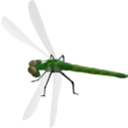 download Dragonfly clipart image with 225 hue color