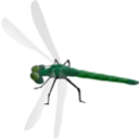 download Dragonfly clipart image with 270 hue color