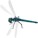 download Dragonfly clipart image with 315 hue color