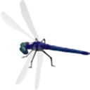 download Dragonfly clipart image with 0 hue color