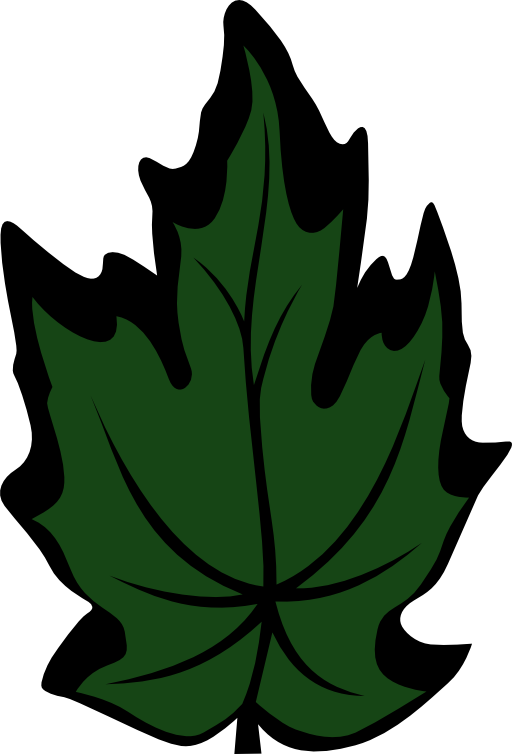 Leaf