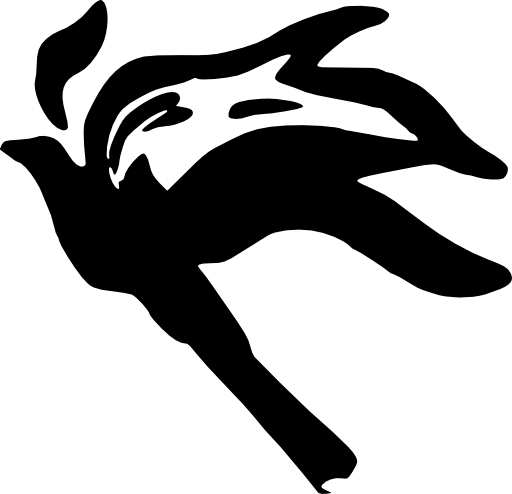Torch