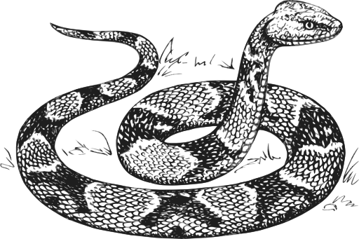 Copperhead Grayscale