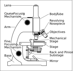 Microscope With Labels