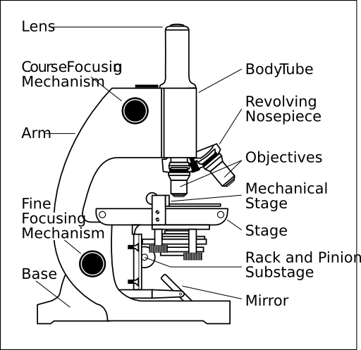 Microscope With Labels