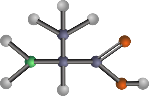 Alanine Amino Acid