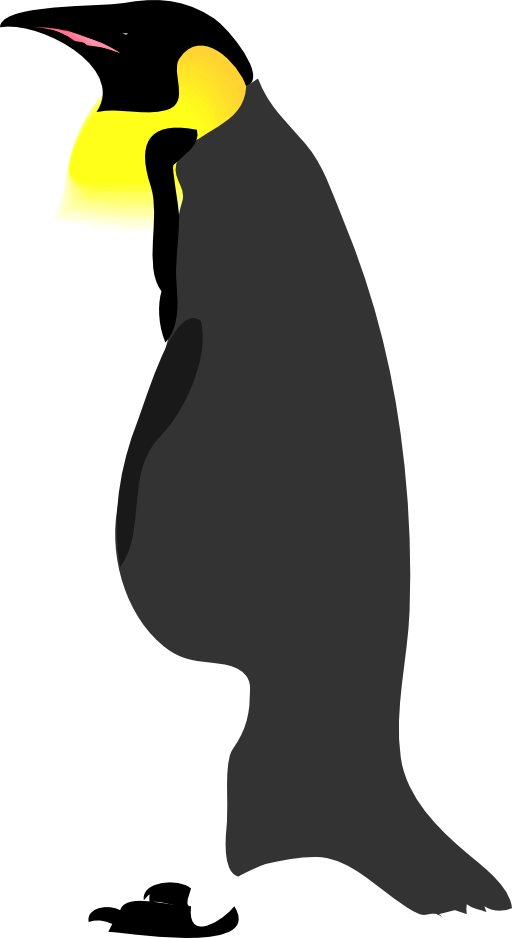 Architetto Pinguino 2