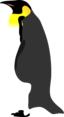 Architetto Pinguino 2
