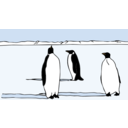 Penguins