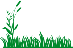 Grass Background