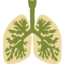 download Lungs And Bronchus clipart image with 45 hue color