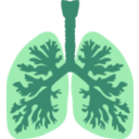 download Lungs And Bronchus clipart image with 135 hue color