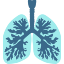 download Lungs And Bronchus clipart image with 180 hue color