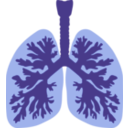 download Lungs And Bronchus clipart image with 225 hue color
