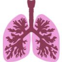 download Lungs And Bronchus clipart image with 315 hue color