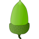 download Acorn clipart image with 45 hue color