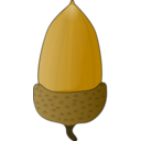 Acorn