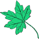 download Maple Leaf clipart image with 135 hue color