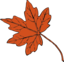 Maple Leaf